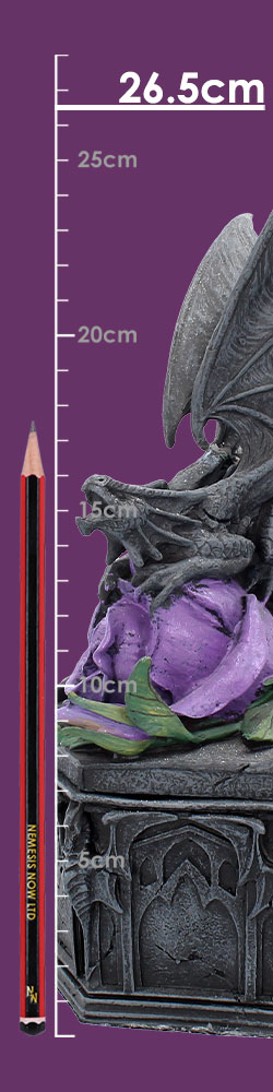 Dragon Beauty Box (AS) 25cm