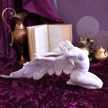 Angels Freedom 40cm