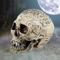 Celtic Skull Box 20cm Skulls Sale Items