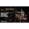 Harry Potter Voldemort Duel 32cm - 7