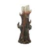 Ent King Incense Holder 30cm Tree Spirits Sale Items