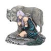 Protector (Limited Edition) (AS) 25cm Wolves Top 200 None Licensed