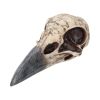 Edgar's Raven Skull 21cm Animal Skulls Out Of Stock