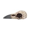 Edgar's Raven Skull 21cm Animal Skulls Out Of Stock