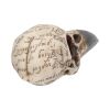 Edgar's Raven Skull 21cm Animal Skulls Out Of Stock