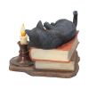 The Witching Hour (LP) 20.5cm Cats Gifts Under £100