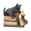 The Witching Hour (LP) 20.5cm Cats Gifts Under £100