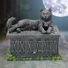 Fortune's Watcher Tarot Box 17cm Cats Top 200 None Licensed