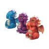 Three Wise Dragonlings 8.5cm Dragons Out Of Stock