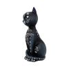 Mystic Kitty 26cm Cats Halloween Highlights Figurines