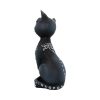 Mystic Kitty 26cm Cats Halloween Highlights Figurines