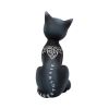 Mystic Kitty 26cm Cats Halloween Highlights Figurines