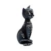 Mystic Kitty 26cm Cats Halloween Highlights Figurines