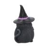 Lucky Black Cat 12cm Cats Gifts Under £100