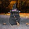 Lucky Black Cat 12cm Cats Gifts Under £100