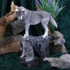 Guidance 25cm (LP) Wolves Gifts Under £100