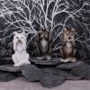 Three Wise Wolves 10cm Wolves Gifts Under £100