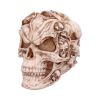 Skull of Skulls (JR) 18cm Skulls Top 200 None Licensed