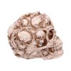 Skull of Skulls (JR) 18cm Skulls Top 200 None Licensed