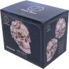 Skull of Skulls (JR) 18cm Skulls Top 200 None Licensed