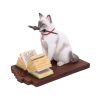 Hocus Pocus (LP) 16.8cm Cats Last Chance to Buy