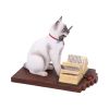 Hocus Pocus (LP) 16.8cm Cats Last Chance to Buy