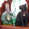 Absinthe (LP) 21.5cm Cats September Flash Sale 2024 | Licensed