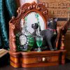 Absinthe (LP) 21.5cm Cats September Flash Sale 2024 | Licensed