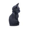 Malpuss 10cm Cats Top 200 None Licensed