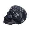 Spirit Board Skull 20cm Skulls Halloween Highlights Figurines