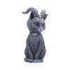 Pawzuph 26.5cm (Large) Cats Halloween Highlights Figurines