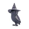 Owlocen 13.5cm Owls Top 200 None Licensed