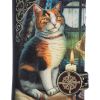 Adventure Awaits Embossed Purse(LP) 18.5cm Cats Gifts Under £100