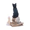 Spirits of Salem (LP) 16.5cm Cats Last Chance to Buy