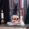 Spirits of Salem (LP) 16.5cm Cats Last Chance to Buy