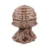 Cthulhu Skull (JR) 20cm Horror Out Of Stock