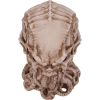 Cthulhu Skull (JR) 20cm Horror Out Of Stock