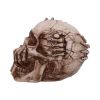 Breaking Out Skull (JR) 20cm Skulls Gifts Under £100