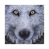 Guardian of the Fall Wall Plaque (LP) 29cm Wolves Sale Items