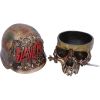 Slayer Skull Box 17.5cm Band Licenses Christmas Gift Guide Homeware