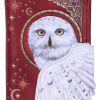 Magical Flight Embossed Purse 18.5cm Owls Christmas Gift Guide Accessories