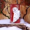 Magical Flight Embossed Purse 18.5cm Owls Christmas Gift Guide Accessories