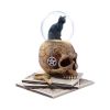 Spirits of Salem Snow Globe (LP) Cats Sale Items