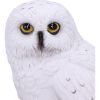 Wizard's Familiar 10cm Owls Gifts Under £100