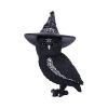 Owlocen 30cm (Large) Owls Halloween Highlights Figurines