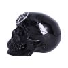 Black Magic 19.5cm Skulls September Flash Sale 2024 | Gothic