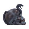 Serpentine Fate 19cm Skulls Gifts Under £100