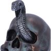 Serpentine Fate 19cm Skulls Gifts Under £100