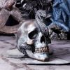 Serpentine Fate 19cm Skulls Gifts Under £100