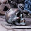 Serpentine Fate 19cm Skulls Gifts Under £100